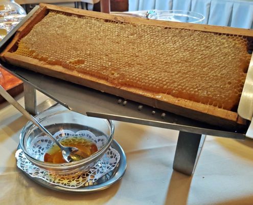 Hmmmm .... honey fresh from the honeycomb