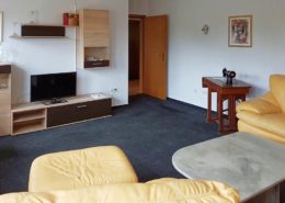 Kleine Ferienwohnung - Wohnzimmer